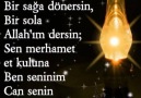 Amin..Şiir Sokağim ... Güz Gülleri