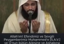 AMİN YA RABBİ - Hatice Çetin Çal