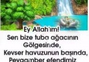 Amin yazan elleriniiz dert görmesin