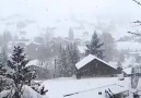 Amo la neve il paesaggio invernale la pace e il suo silenzio...