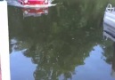 Amphibious Boat Car Makes Waves