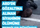 Anadolu Ajansı - ABD&gözaltına alınan siyahinin ölümüne...
