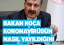 Anadolu Ajansı - koronavirüs Facebook