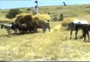 Anadoludan eskilerden güzel bir video. Ekin harman işleri yapılırken Tufan Altaş eşliğinde tavsiye ederim