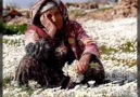 ANAM SANKİ EVDE GİBİ