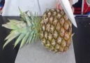 Ananas kesme yolları :)