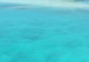 Anantara Veli Maldives Resort Video Credit @loucosporviagem