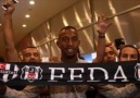 Anderson TALİSCA