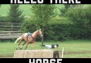 And they say horse riding is easy. Share and let them see this!