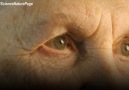 A new powerful drug reverses ageing in mice.
