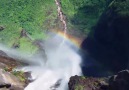 Angel Falls (Melek Şelalesi) Venezuela