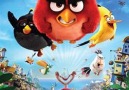 Angry Birds Film 2016 Türkçe Dublaj (Sinema Çekimi)