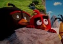 Angry Birds  KIZGIN KUŞLAR