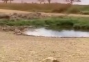 Ani bir hareketi hayatını kurtardı.... - ASMAN bilgi sayfası