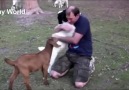 Animals hugging humans for the first time