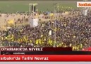 An itibari ile Amed Newroz'u Yüz Binler Alanda..