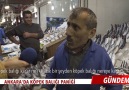 "Ankarada'da Akvaryumdan Kaçan Köpek Balığı"