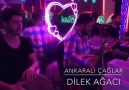 Ankaralı Çağlar - Dilek Ağacı