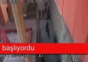 ANKARA ÜNİVERSİTESİNDE BAYRAĞIMIZ İNDİRİLDİ!!!