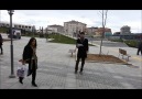 ANKET ÇALIŞMASI 3 -"AYASOFYA CAMİİ" İBADETE AÇILSIN MI?