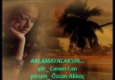 ANLAMAYACAKSIN__şiir: Canan Can//yorum; Özcan Akkoç