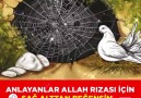 ANLAYANLAR SAĞ ALTTAN BEĞENSİN