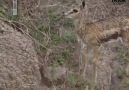 Anneliğin Ne Demek Olduğunu Burada Daha İyi Anlayacaksınız.. (