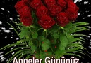 Annellere Özel