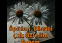 ANNEM ANNEM Neredesin..*Muhteşem...