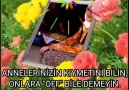 ANNEMİ KAYBETTİM BENÜç yıl oldu... - Canımdan Öte Cansın