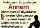 Annem (İnstagram Adresimizide Takipte Kalın Dostlar..