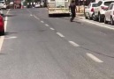 Antakya Caddelerinde Tilki kovalamacası