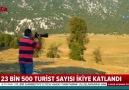 Antalyanın vahşi güzelliği Yılkı atları