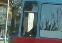 Antalya&su içen kedi için tramvayı durduran makinist.