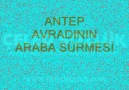 Antep Avradının Araba Sürmesi..ÇELED UŞAGLAR