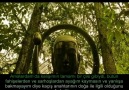 Antichrist Dajjal – 37