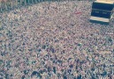 A packed mataaf!