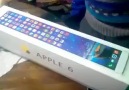 Apple 6