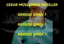 aptal müslümanlar - timurtaş uçar hoca efendi rha.