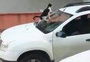 Arabaya sıçan kediyi durdurmak yerine videosuna devam eden abimiz
