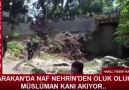 ARAKAN NAF NEHRİ OLUK OLUK MÜSLÜMAN KANI... - İLAHİ AŞKA Yolculuk