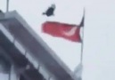 Araklı Habertürk - Çünkü o bayrakta şehit kanı var Facebook