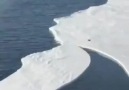 24 Aralık 2019 Antarktika kıtasında... - Hava Forum - Meteoroloji