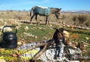Arap atı yorulsada gnül yorulmaz - Eski Türküler Piribeyli
