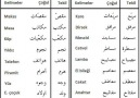 Arapcada Kuralsız Çoğullar -2