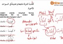 Arapca III - 2015 Güz Arasınavı 15. Soru