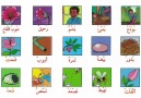 Arapca Kelimeler-8