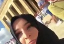 Arap kırması bedevi