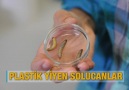 Araştırma Balmumu solucanı plastik poşetleri sindirebiliyor.