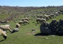 Ardahan.lı bir takipçimizden